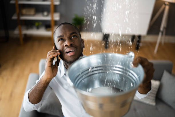 Best Water damage contractors near me  in Pocahontas, AR
