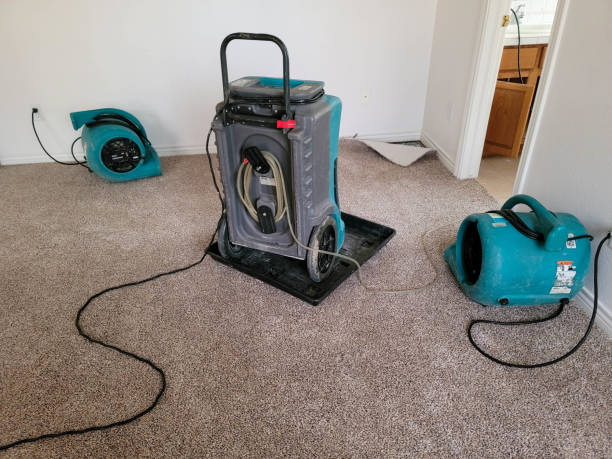  Pocahontas, AR Water damage restoration Pros