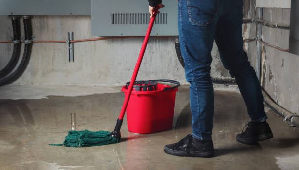 Best Sewage cleanup and water damage restoration  in Pocahontas, AR