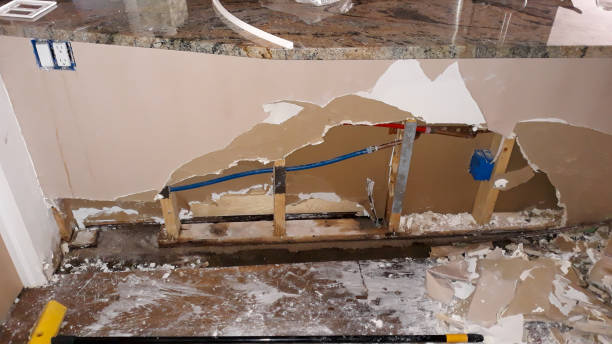 Best Carpet water damage restoration  in Pocahontas, AR