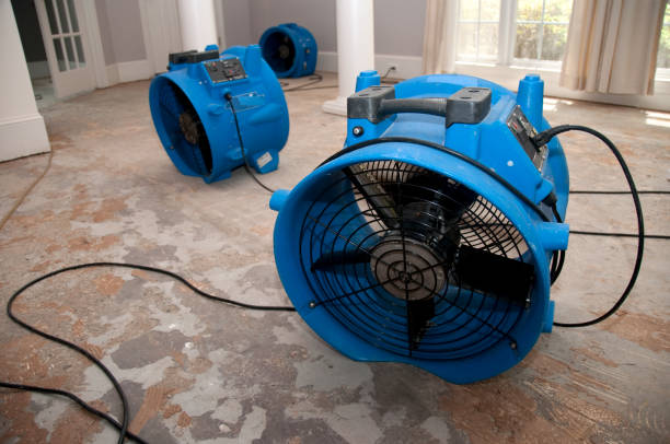 Best Flood damage cleanup  in Pocahontas, AR