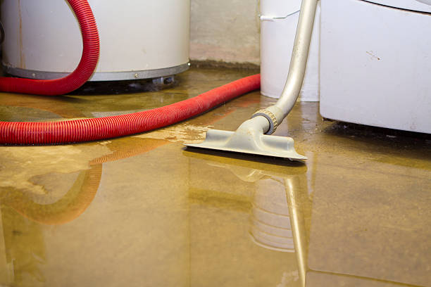 Best Fire Damage Restoration  in Pocahontas, AR