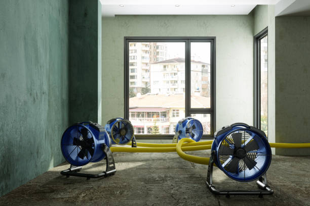 Best Flood restoration services  in Pocahontas, AR
