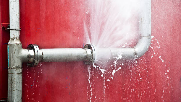 Best Water damage restoration near me  in Pocahontas, AR